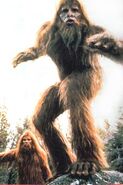 Bigfoot1987