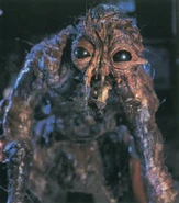 SethBrundle5.jpg (89 KB)