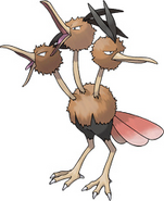 Dodrio