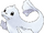 Dewgong