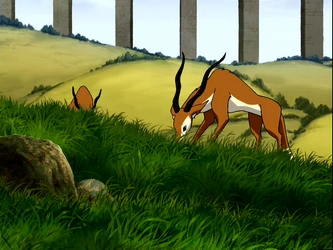 Fox antelope, Avatar Wiki, Fandom