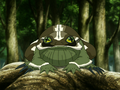 Badgerfrog