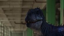 Megalosaurus