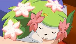 Shaymin can dissolve toxins in the air!, Shaymin can instantly transform  ruined land into a lush field of flowers by dissolving toxins in the air!  🌸, By Pokémon