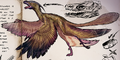 Microraptor gnarilongus