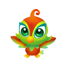 Paradise Parrot