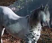 Merlin