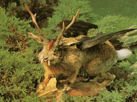 Wolpertinger | Non-alien Creatures Wiki | Fandom