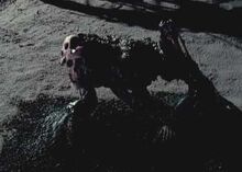 Bone Snatcher