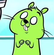Gopher