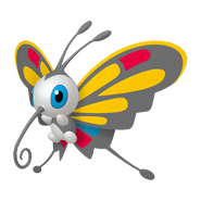 Male Beautifly