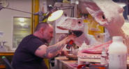 Dimorphodon's head in the process during production