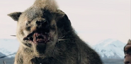 A Warg, as it appears in The Lord of the Rings: The Two Towers.