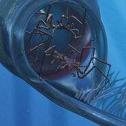 Two Spindletroopers make their home in a Ocean Phantom