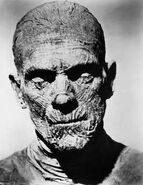 The mummified Imhotep