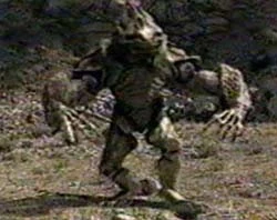 philodendron spiritus-sancti Runo Plants | Rare & Collectors' Plants
