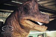 An animatronic of the brachiosaurus.