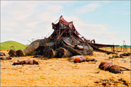 A prop of a dead oliphaunt during the filming of Return of the King.