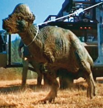 Pachycephalosaurus Jurassic Park