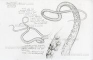 Concept art of the creature's tentacles