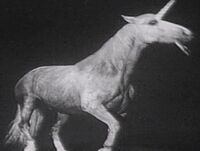 Unicorn-DoctorWho