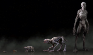 Life cycle of the Demogorgon