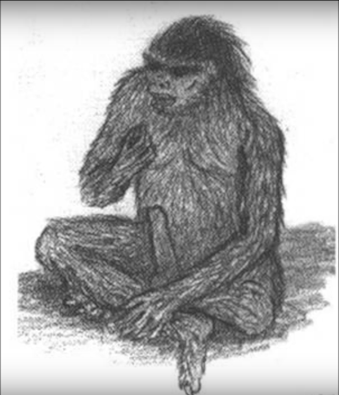 Bigfoot to Mothman: A Global Encyclopedia of Legendary Beasts and