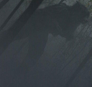 Monsters and Mysteries in America