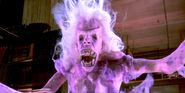The librarian while she is in her pure ghost form
