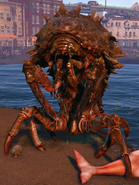 Mirelurk Queen in Fallout 4