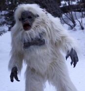 Snow Beast (2011)