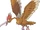 Fearow