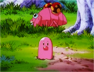 Pink Paras
