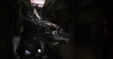 Rhino Dragon