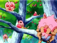 Pink Mankey and Primeape