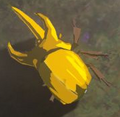 Energetic Rhino Beetle