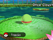 Treecko Egg