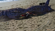 Sand Shark