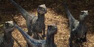 Jurassic World