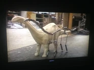 The maquette of the Brontosaurus (Left) and the stop motion maquette (Right).