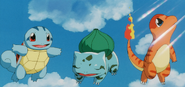 Squirtletwo, a cloned Squirtle.
