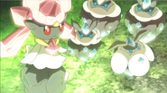 Four Carbink and their princess, Diancie.