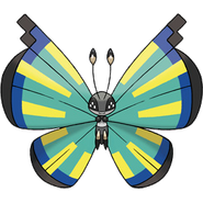 Savanna Pattern Vivillon