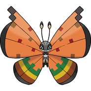 Hight Plains Pattern Vivillon