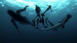 Mermaids-TheBodyFound1