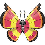Sun Pattern Vivillon