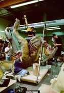 The process of the carcass from The Lost World: Jurassic Park.