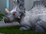 Spinoceratops