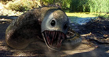 Eel (Razortooth)