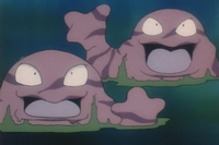Grimer1